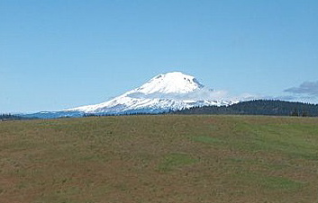 Mount Adams rising up behind our pasture.