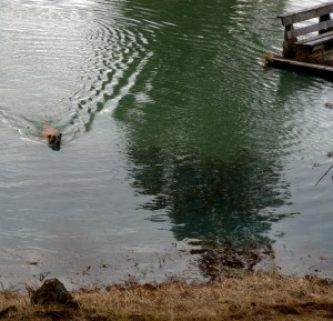 Ella earned her swim.