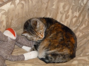 Mira wasn't shy about curling up on Ella's bed with Ella's sock monkey.