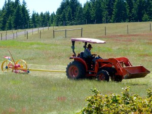 Gary pulled in several tons of loose hay while undergoing chemo.