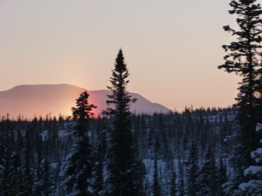 Sundog, rainbow of the darkest days.